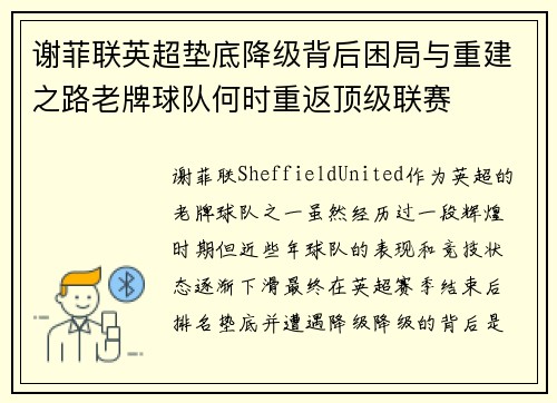 谢菲联英超垫底降级背后困局与重建之路老牌球队何时重返顶级联赛
